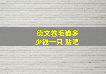 德文卷毛猫多少钱一只 贴吧